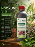 TRAITEMENT NDOXOUM SITI