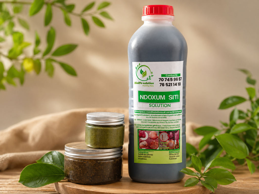 GAMME NDOXUM SITI COMPLET